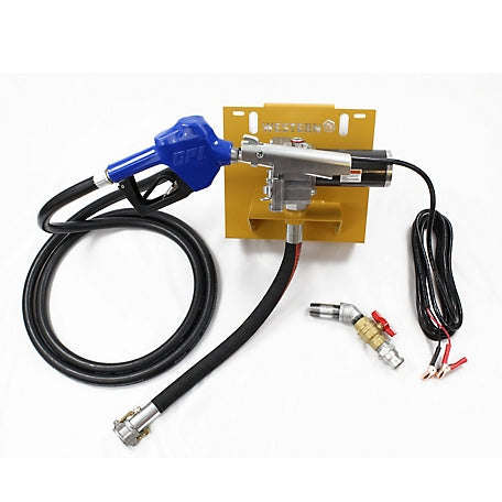 Western Global TRANSCUBE 1,240 US gal, (4,700L) Portable Fuel Tank 12V/20 GPM Package 50TCG