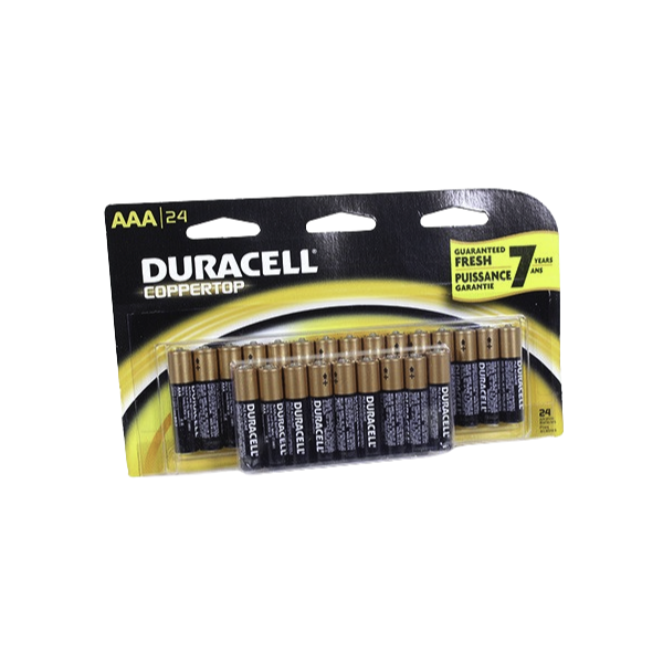 Interstate Battery DRY0131 AAA Front | RogueFuel.ca | Munro Industries 600x600