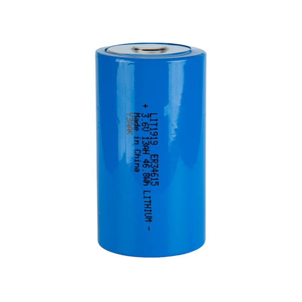 Interstate Battery LIT1919 Front | RogueFuel.ca | Munro Industries