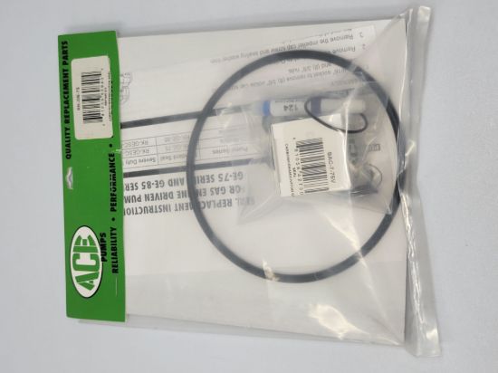 ACE Repair Kit Seals, Washers, O-rings - RK-GE-75 | RogueFuel.ca