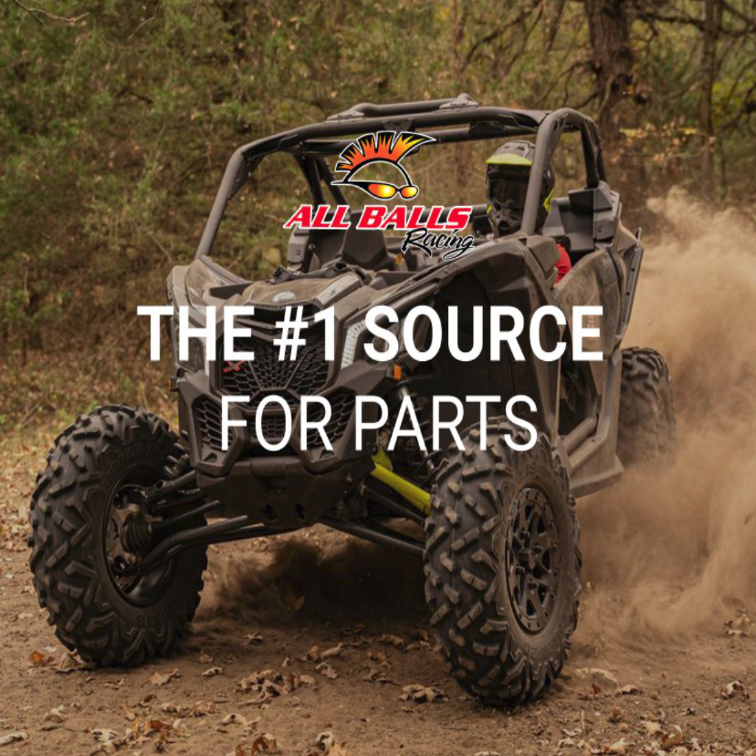 All Balls Racing ATV/UTV Parts - MunroPowersports.com | RogueFuel.ca | Munro Industries