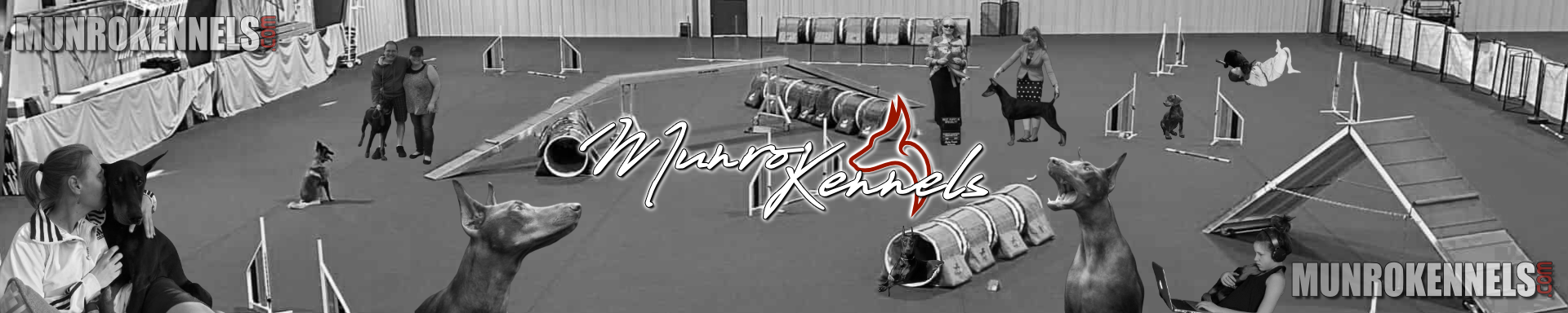 All Products | MunroKennels.com | Munro Industries mk-1009