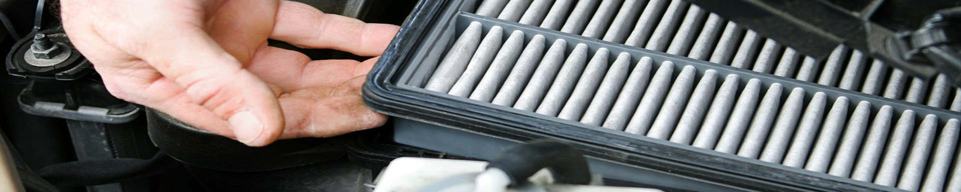 Cabin Air Filters | RogueFuel.ca | Munro Industries rf-1007030302