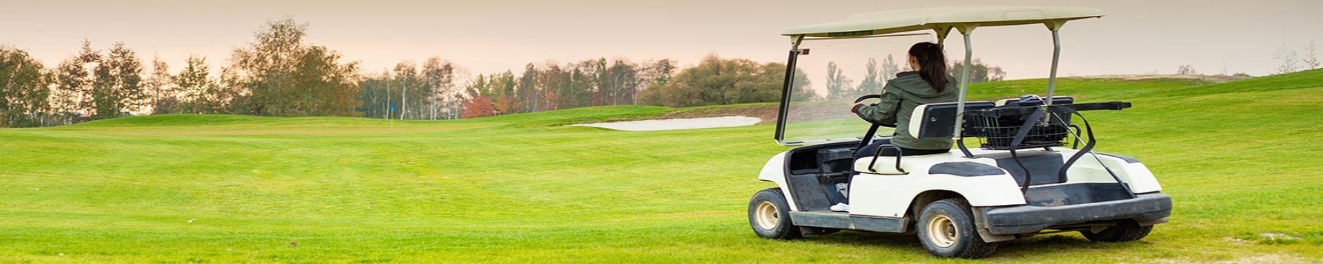 Golf Cart Batteries | RogueFuel.ca | Munro Industries rf-1007030905
