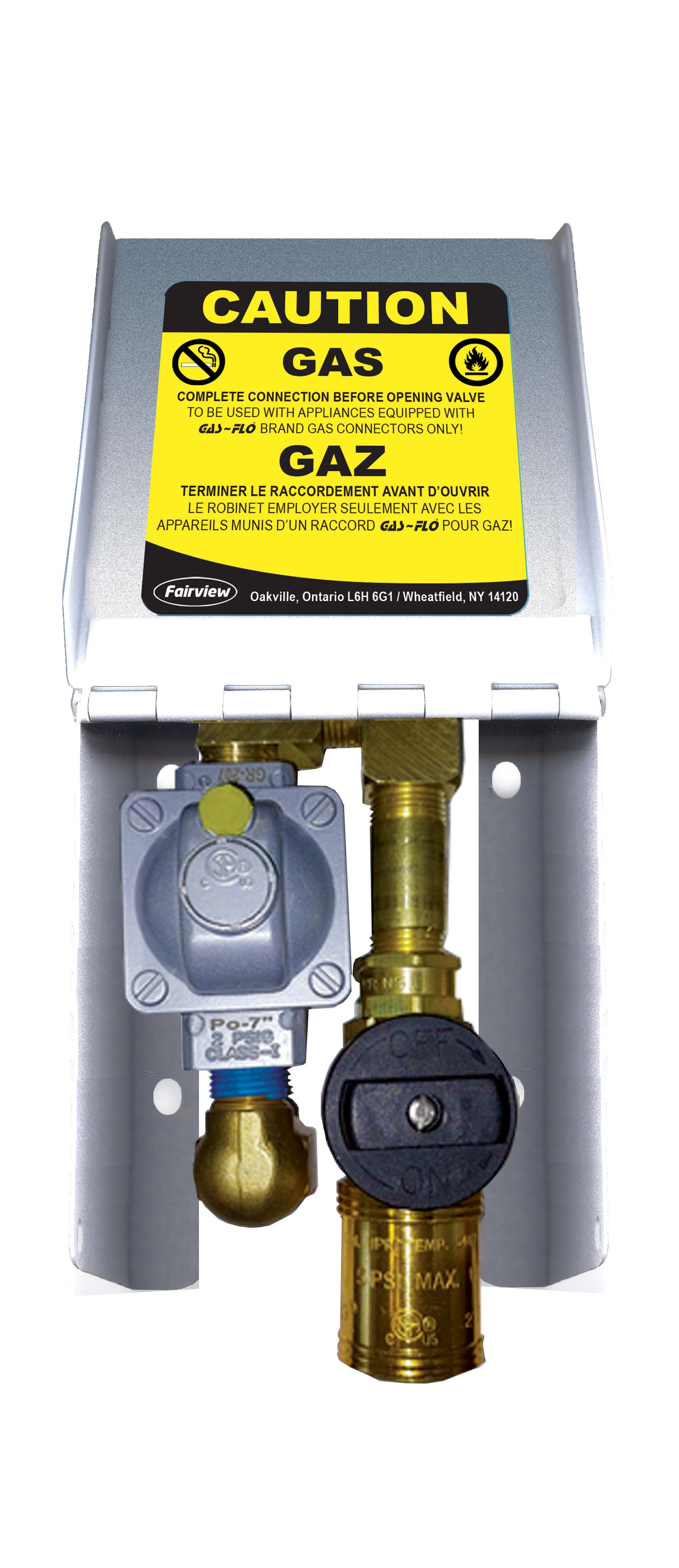 Fairview 2LB Natural Gas Cnnct;2xBV+QD;SS;Left Mount Item #: FVF-NG-OUTLET-2LBLP-DUAL-L | RogueFuel.ca