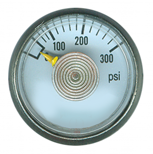 Fairview 0-300;Dry Gauge;1.25in Face;1/4MPT CBM Item #: FVF-PG-300CD125 | RogueFuel.ca